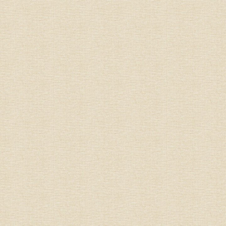 Nae2101570026