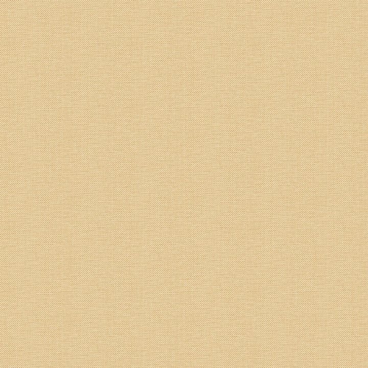 Nae2101571050