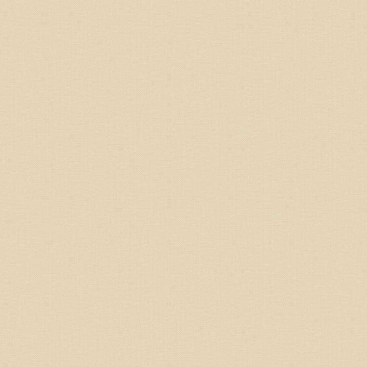 Nae2101571106
