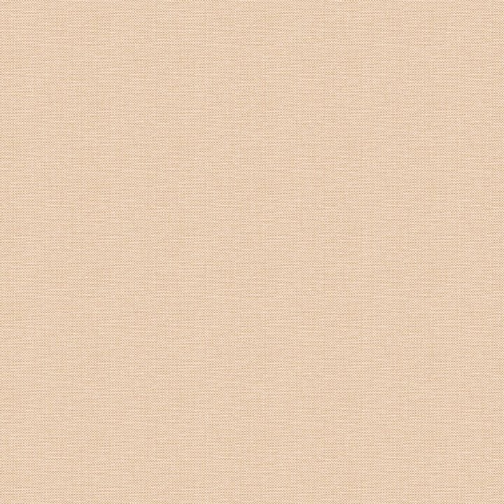 Nae2101574022