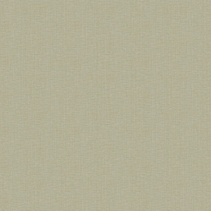 Nae2101576012