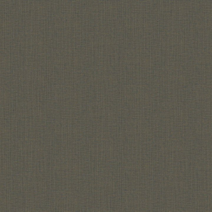 Nae2101576187