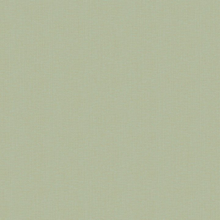 Nae2101577099