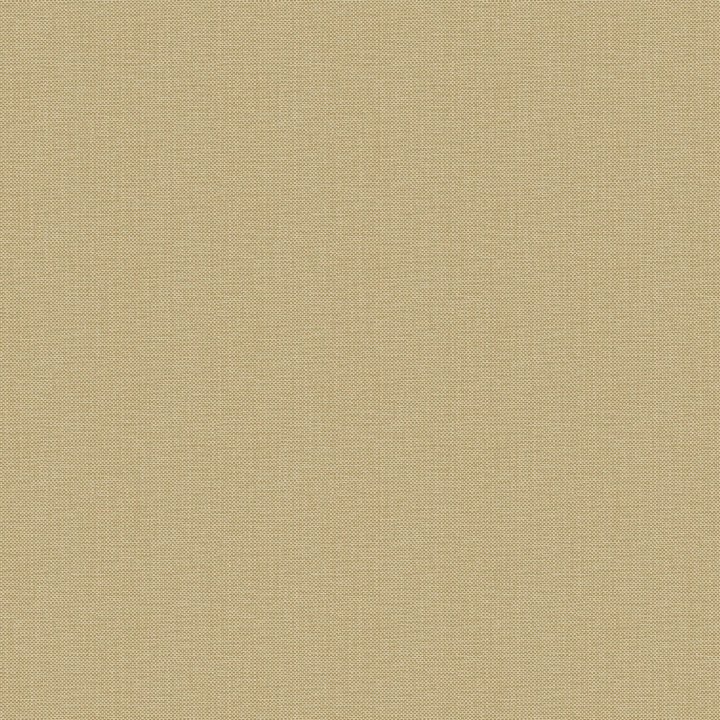 Nae2101577143