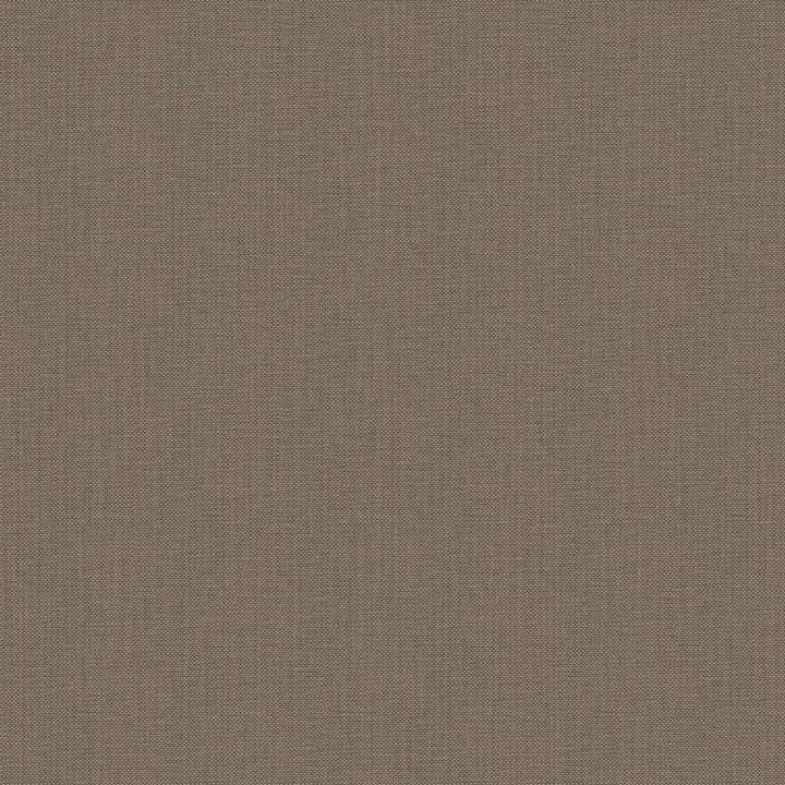 Nae2101579120