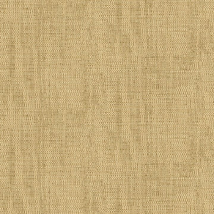 Sym105971245