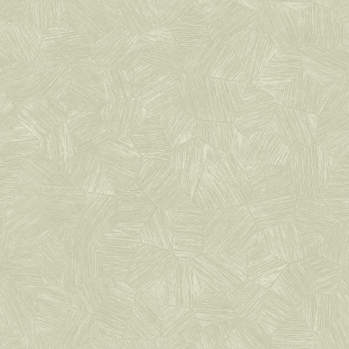 Sym107017014