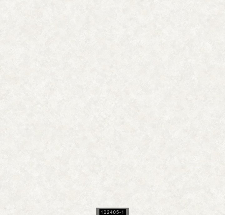 102405-1